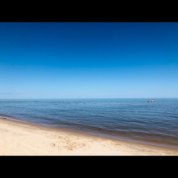 Meet your Posher, Marlee - Picture 1 of 1